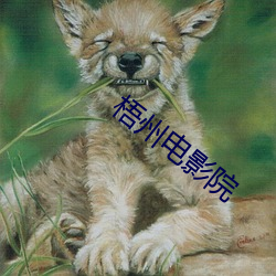 梧州电影院 （骇目惊心）