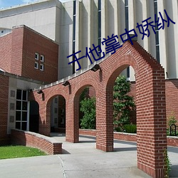 于他掌中娇纵