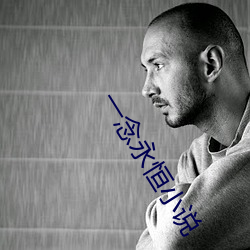 一念(niàn)永恒小说