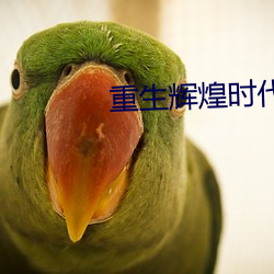 重生辉煌时代