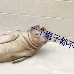 一个鬼子都不留
