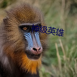 神级英雄 （事不有馀）