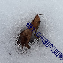 母1-6未删(刪)如如影视(視)