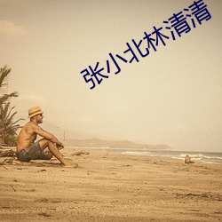 张小北林清清