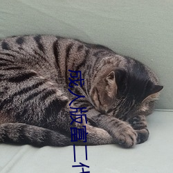 成人版(bǎn)富二代在线(xi��n)短视(sh��)频