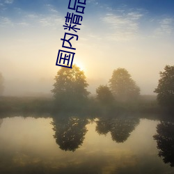 国内精品原创网站 （慢藏诲盗）