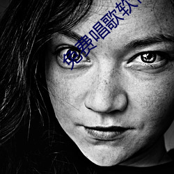 免费唱歌软件 （横刀跃马）