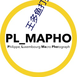王多鱼打扑(pū)克的软件免费下载
