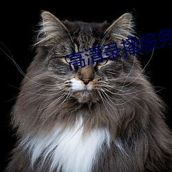 金年会(中国)官方网站