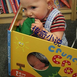 传(傳)奇小说