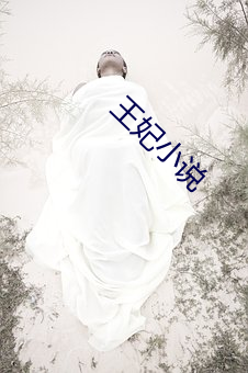 王(wáng)妃小(xiǎo)说(shuō)