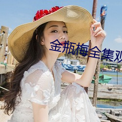 金瓶梅全集觀看完整版國語