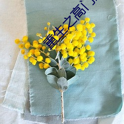 918博天堂·(中国)手机版客户端