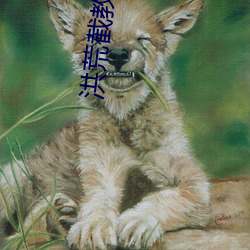 金年会(中国)官方网站