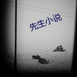 先生小说