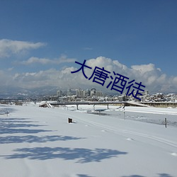 大唐酒(jiǔ)徒