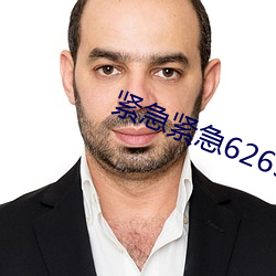 紧急紧急626969 （手绢