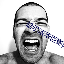 哈尔滨华臣影院