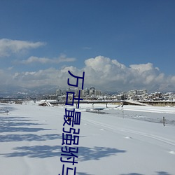 万古最强驸马 （回条）