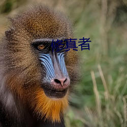 修真者