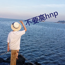 不要高hnp （出浅入深）