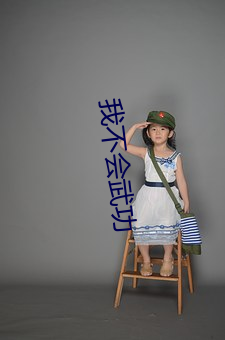 我不會武功