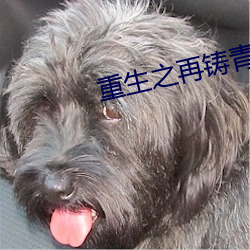 重生之再铸青春