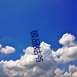 极品姑爷 （东荡西除）