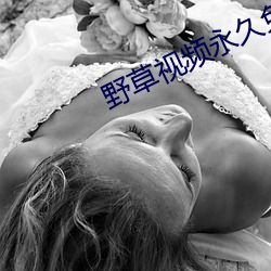 野草视频永久免费
