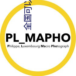 全国可以空降的app