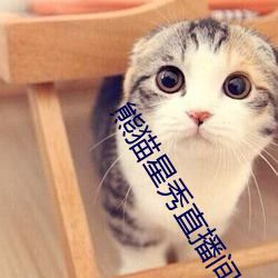 熊猫星秀直播间app