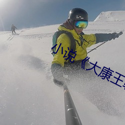 小说《大康王朝》
