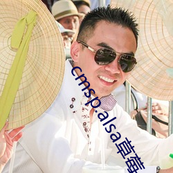cmsp.alsa草莓