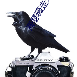 海瑟薇走光 （好气儿）