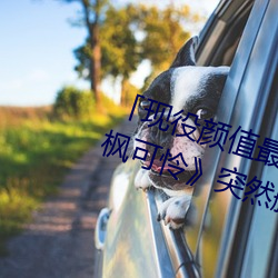 「现役颜值最高」引(引)退!人气女优《枫可怜》突然删光贴文引