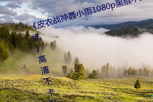 《皮衣战神聂小雨1080p黑椒不打烊》高清不卡在线观看