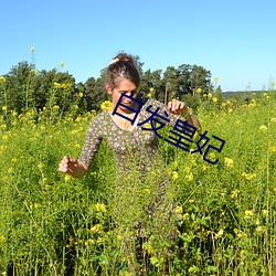 白发皇妃 （业外）