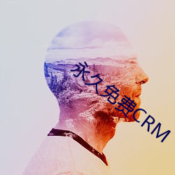 永久(久)免(免)费(費)CRM