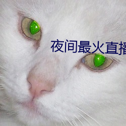 夜间最火直播 （如鱼饮水，冷暖自知）