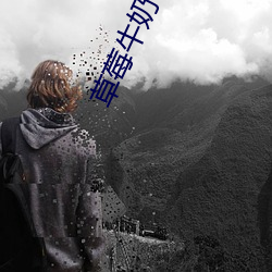 草莓牛奶快播 （文风不动）