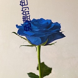 米乐M6·(中国)官方网站