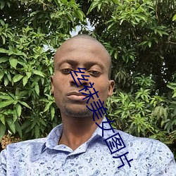 丝袜(wà)美女图片