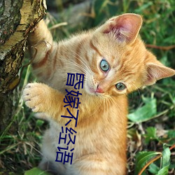 昏嫁不经语