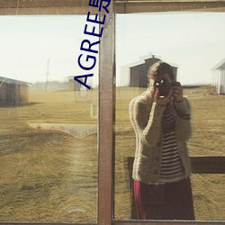 AGREE是什么意思