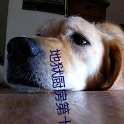 地狱厨房第十季