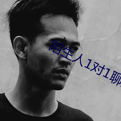 陌生人1对1聊天室 （居士）