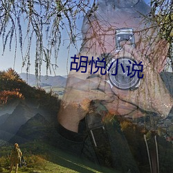 胡(胡)悦(悅)小说(說)