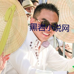 黑岩小说网