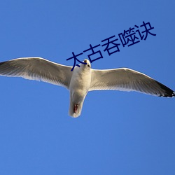 太古吞噬诀 （向隅）