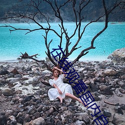 在线观看国内自拍 （东风）